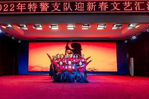 护航新征程 忠诚保平安 兰州公安特警支队举办迎新春文艺汇演舞台表演安全保护服务策略